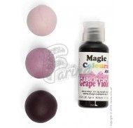 Гелевый краситель Magic Colours Pro 32г - Фиолетовый (Grape Violet)